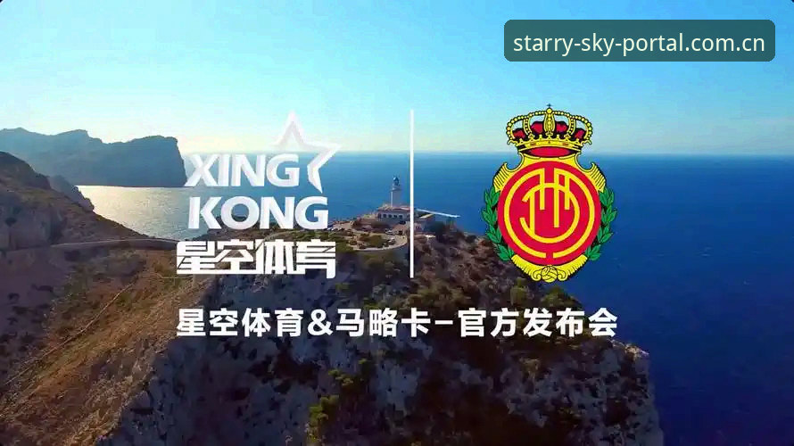 星空入口中国官方官方入口使用技巧 星空体育官网:星空入口中国官方使用技巧详解,业内人的答疑指南