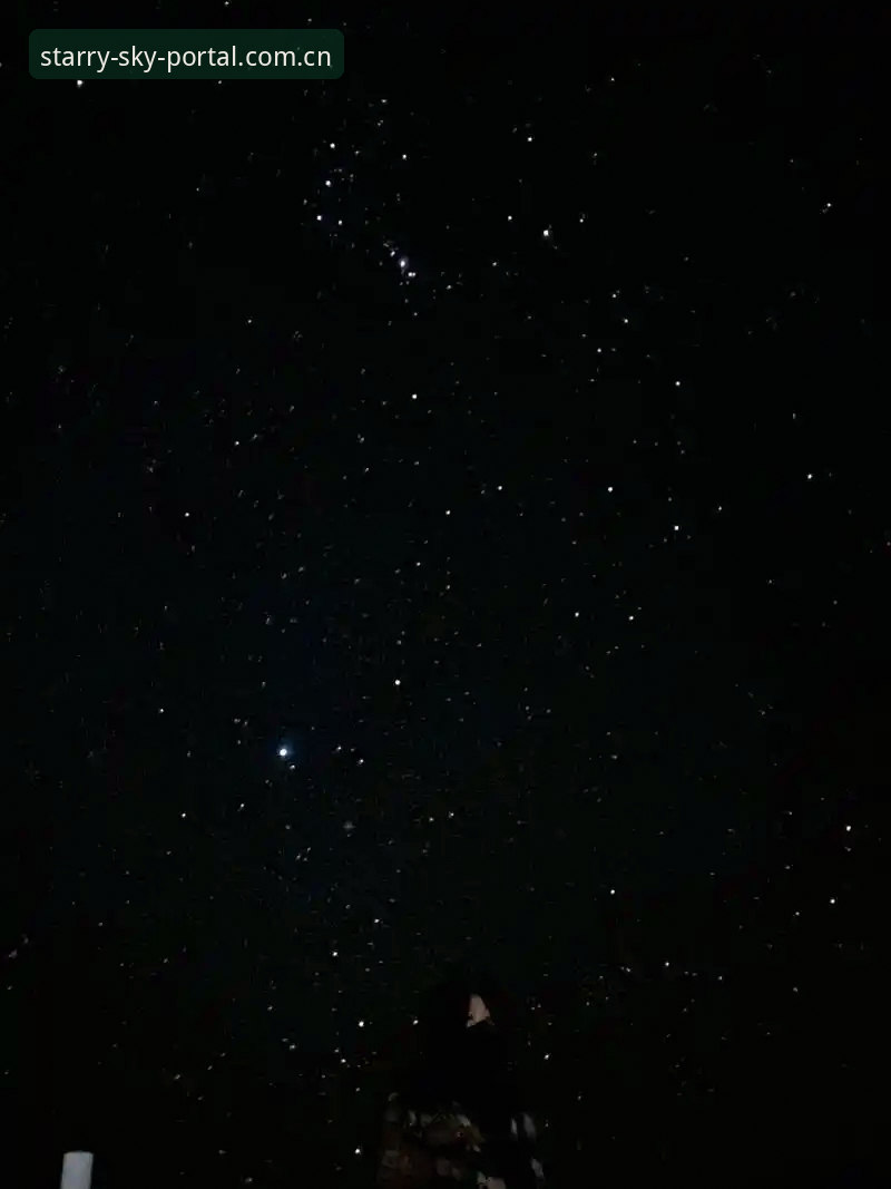 官方版vs渠道版：中国星空入口App安装的三大核心区别，别再乱找了